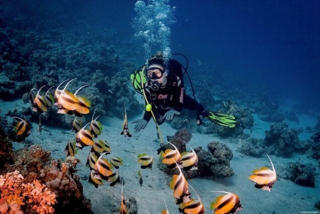 Scuba Diving - Qualified Divers
