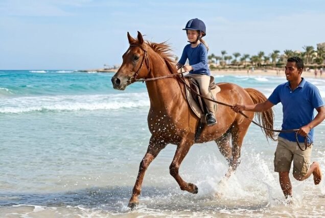 Private horseback riding (2 hours)