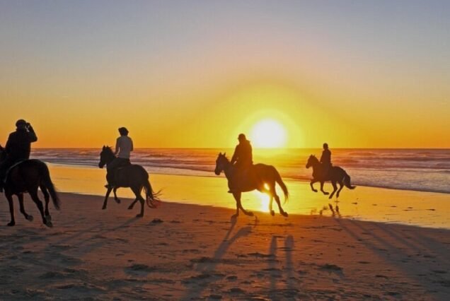Horseback riding in a group (2 hours)