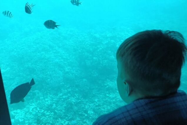 Glass bottom boat - Group