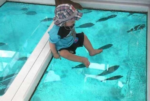 Glass bottom boat - Private