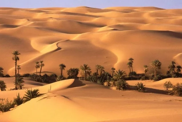 Des Oasis au Nil — Circuit Égypte 12 jours au départ du Caire