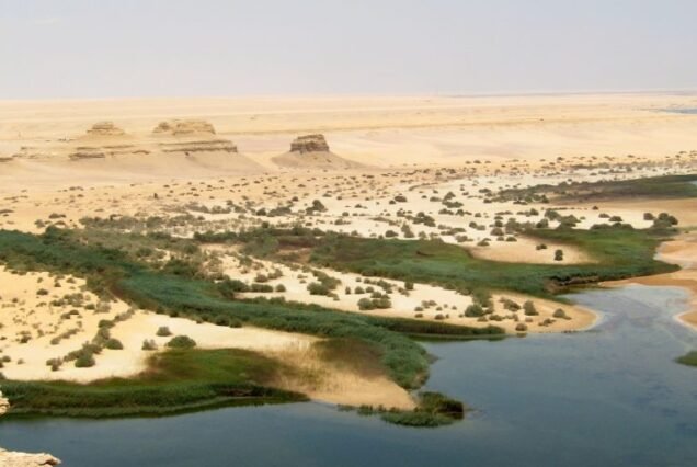 Fayoum, l'escapade – 1 journée