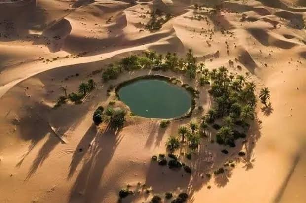 images-6